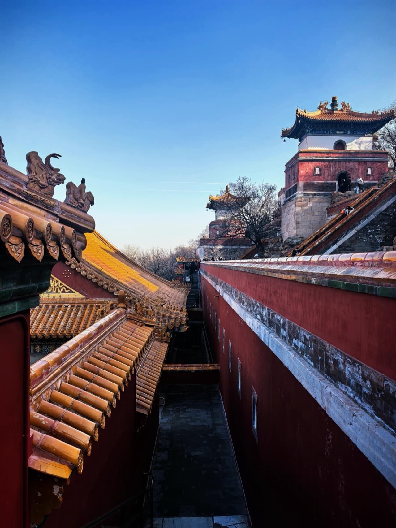 Peking Duck — the must-eat dish