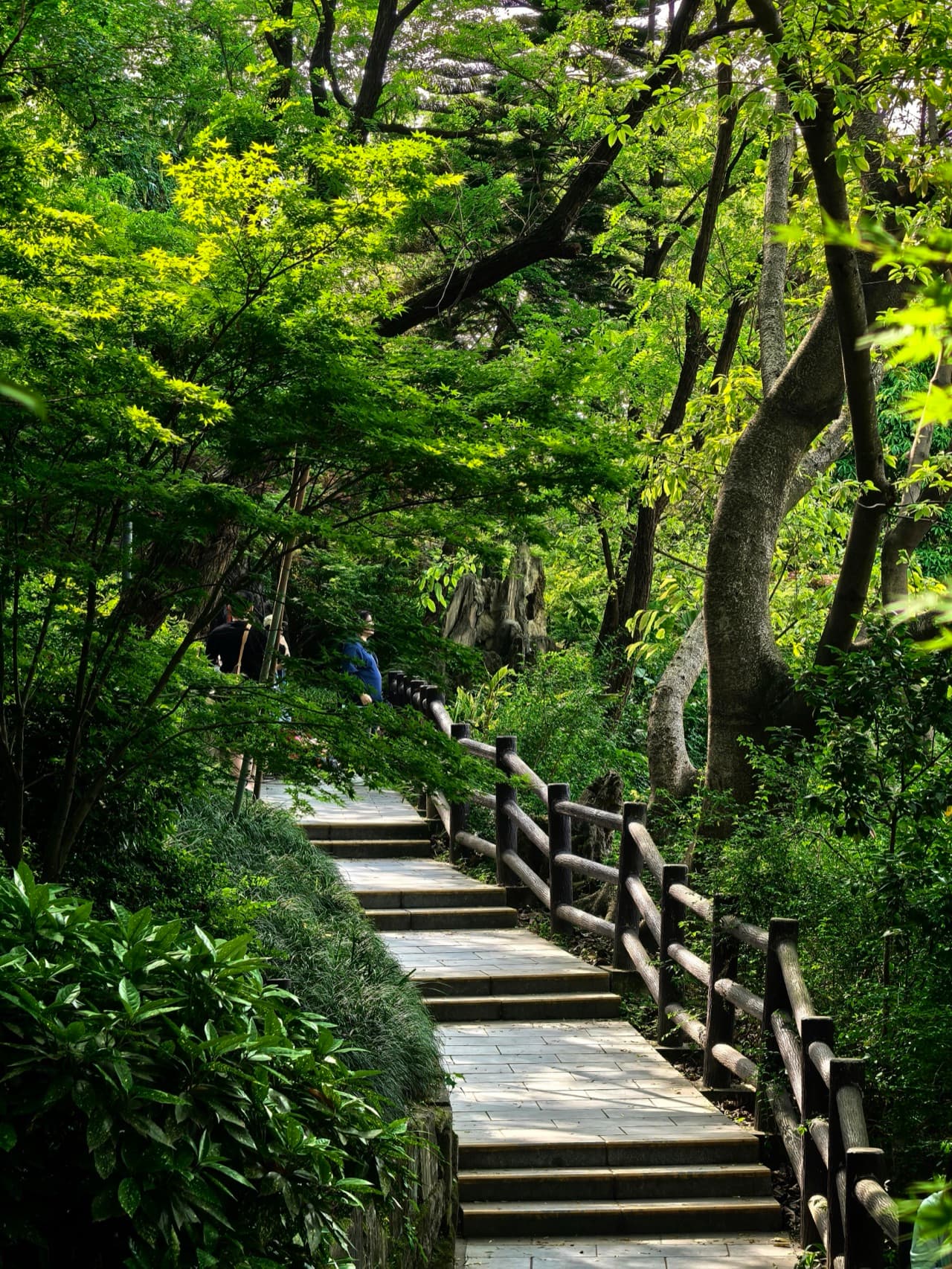 5 Days in Chengdu: A Culture Lover's Deep Dive