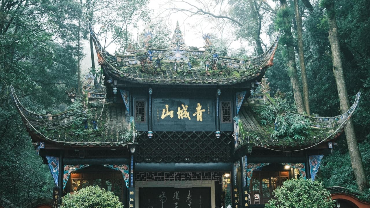 Qingcheng Mountain + Dujiangyan: The Perfect Day Trip from Chengdu