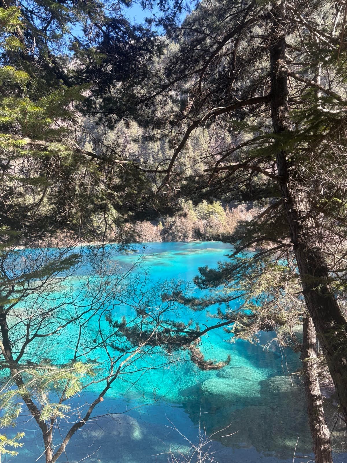 Chengdu Solo Trip: A Planner's Dream Itinerary (With Jiuzhaigou Add-On)