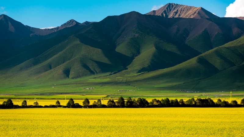 Great Northwest China: 7-Day Qinghai Lake to Badain Jaran Desert Road Trip