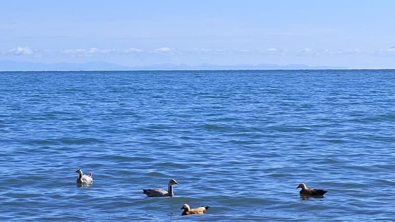 Northwest Grand Loop: 8-Day Silk Road & Qinghai Plateau Epic