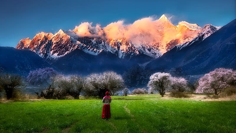 Namcha Barwa peak emerging through clouds above peach blossom valleys