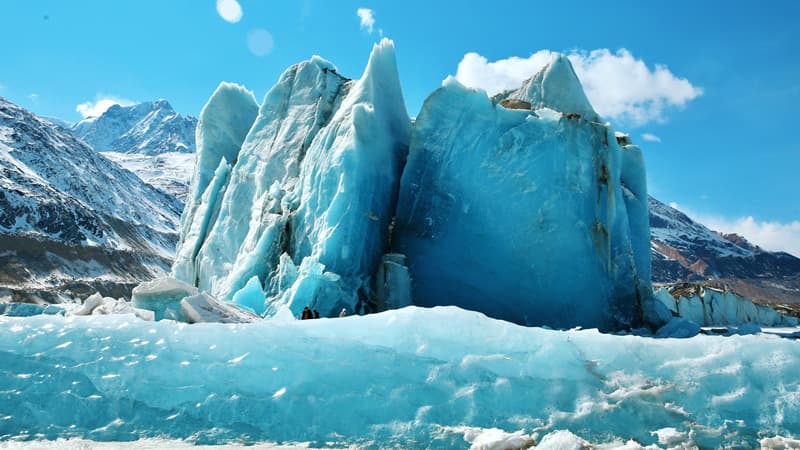 Nyingchi Spring Blossoms: 6-Day Peach Flowers & Blue Ice in Tibet