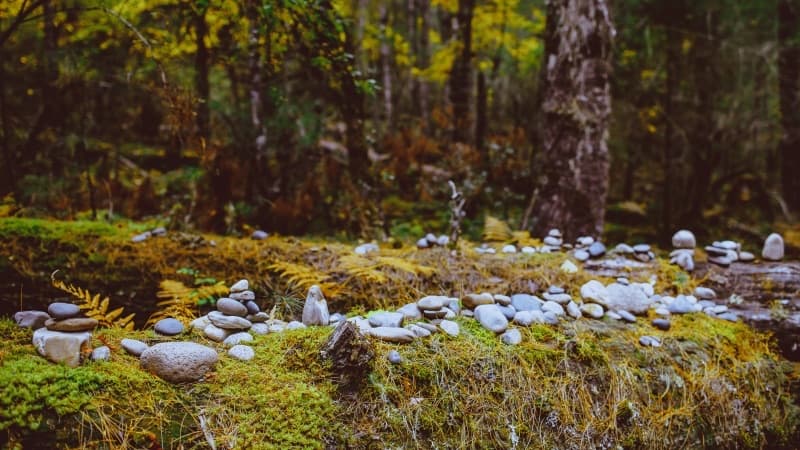 Nyingchi Spring Blossoms: 6-Day Peach Flowers & Blue Ice in Tibet