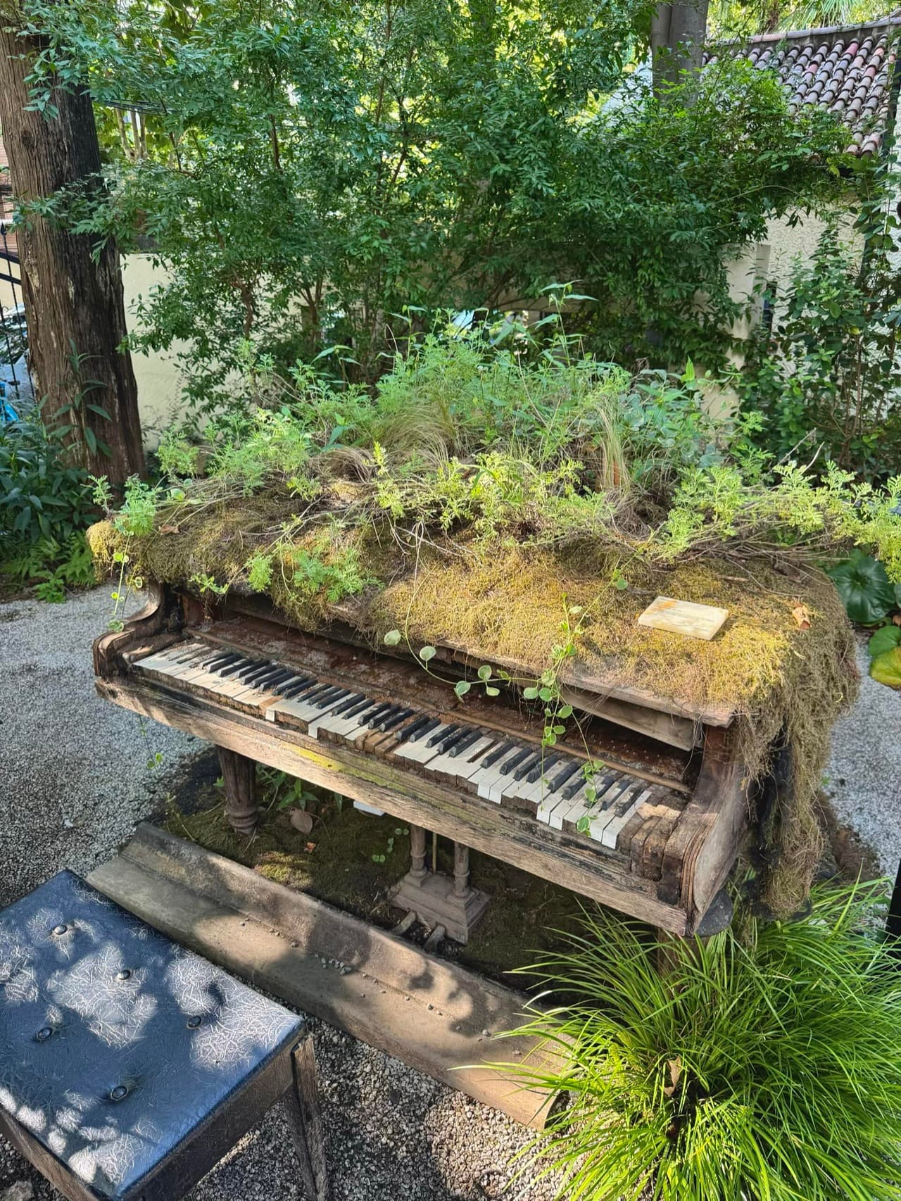 Melt Season entrance with piano