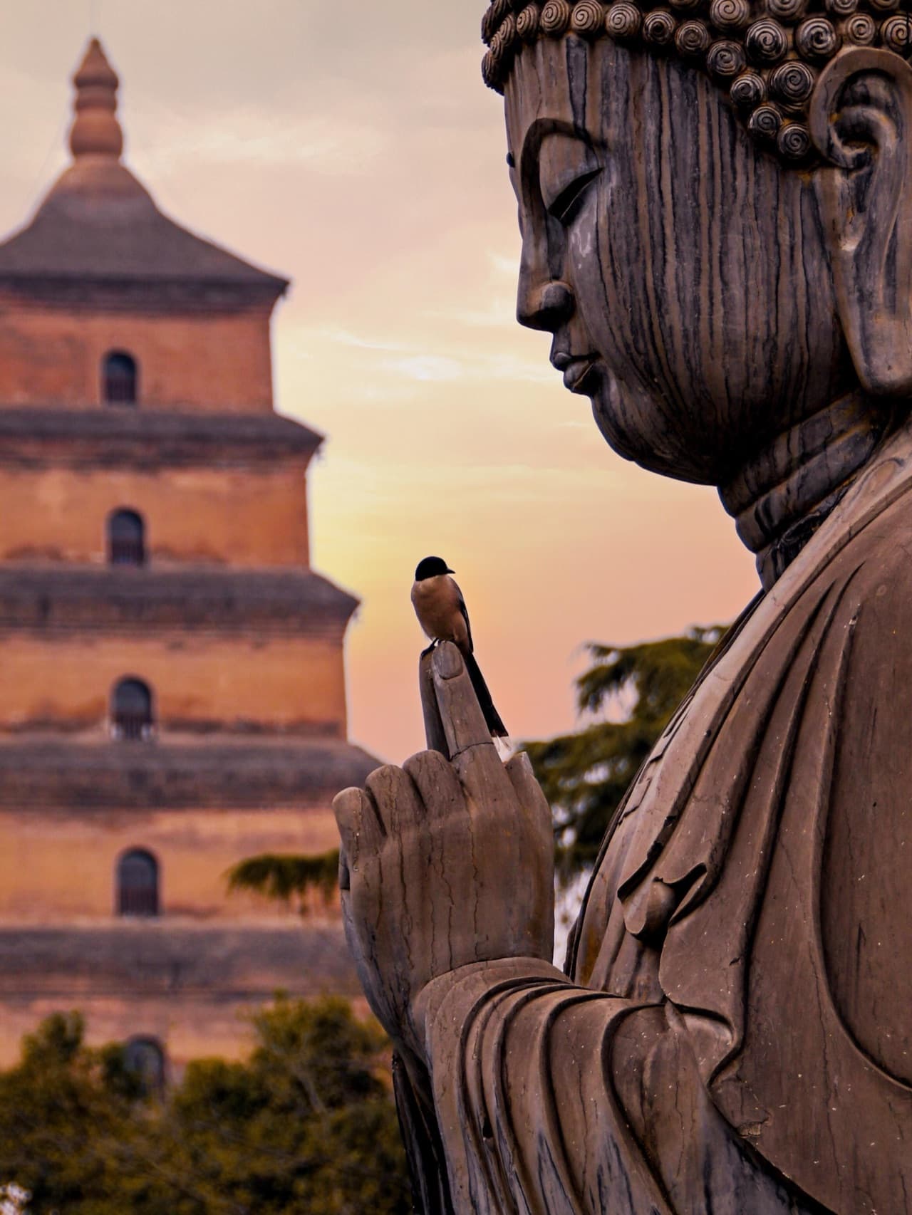 Daciensi Ruins Park with Big Wild Goose Pagoda