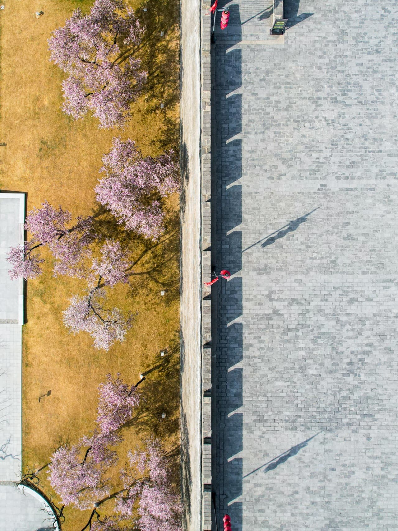 City wall with cherry blossoms