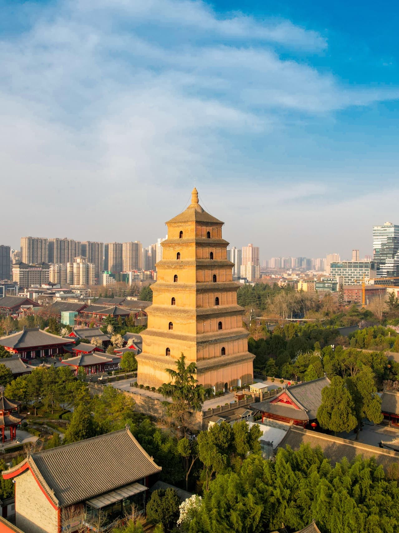 Big Wild Goose Pagoda ID photo from Joy City rooftop