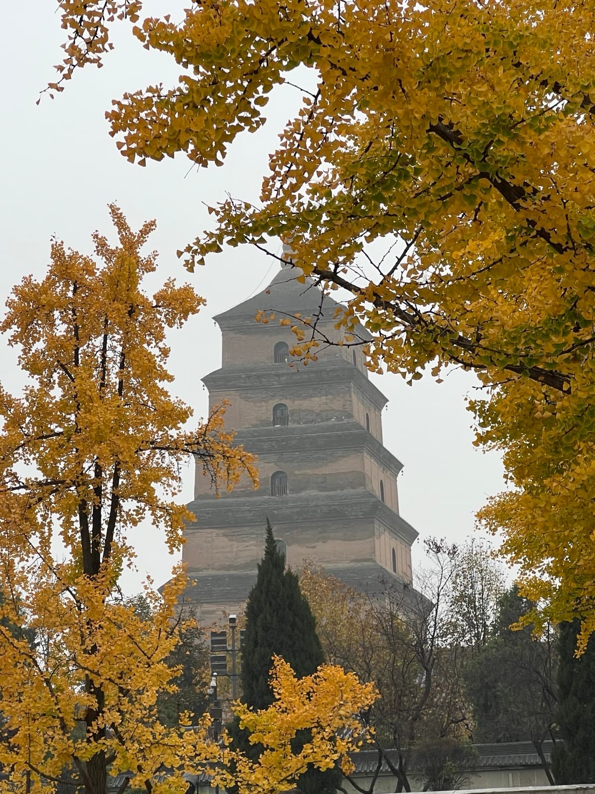 Xi'an in 3 Days: History, Warriors & Late-Night BBQ