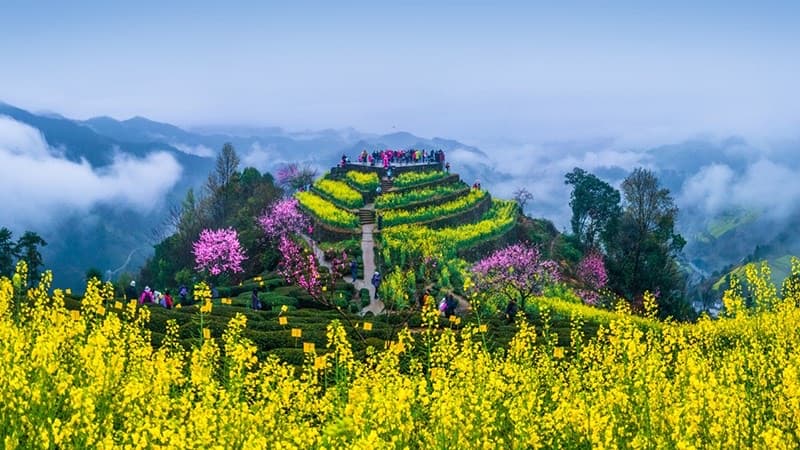 Huizhou Spring: 4-Day Ancient Villages & Flower Fields in Anhui