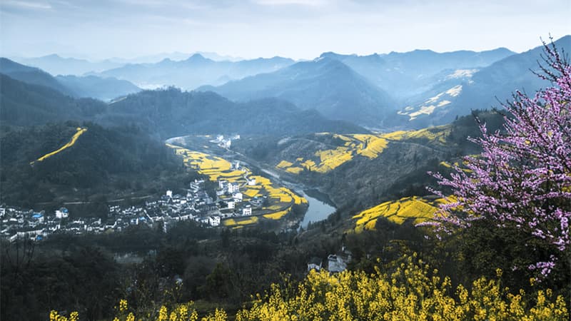 Huizhou Spring: 4-Day Ancient Villages & Flower Fields in Anhui