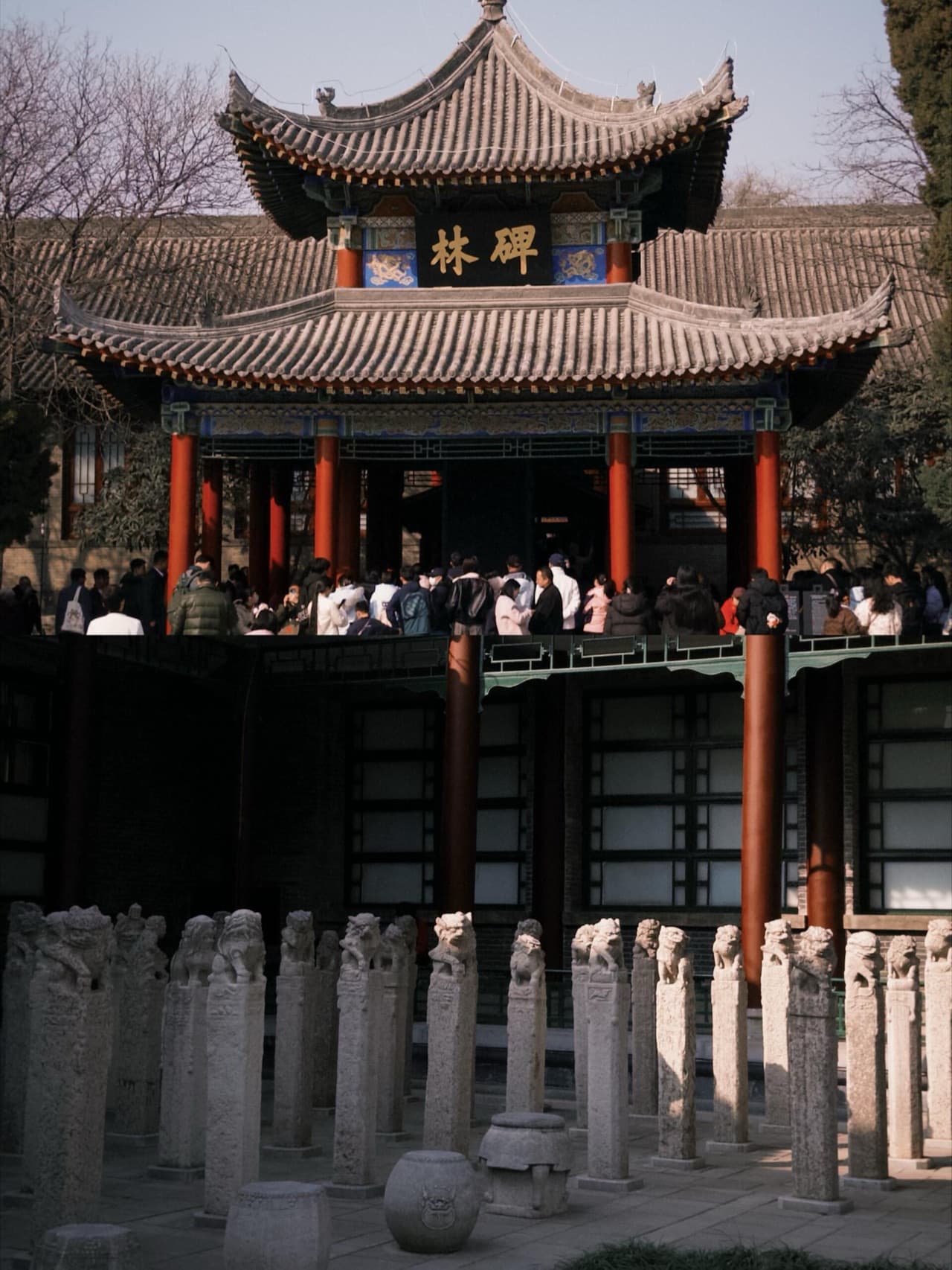 3-Day Xi'an CityWalk: Old Town Alleys, Cat Temples & Film Studios